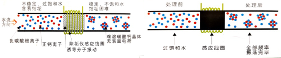 电子水除垢仪 电子水除垢仪